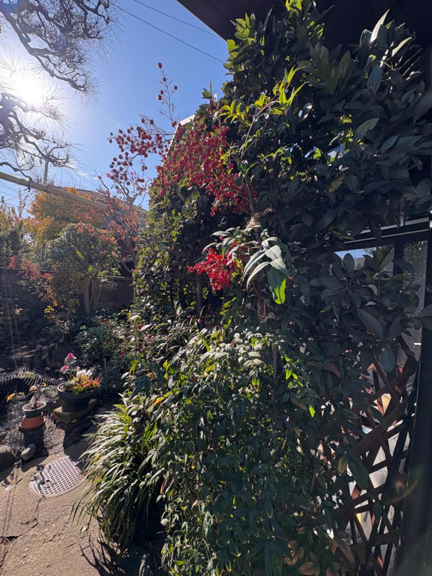 Kitazawa Cozy House Hotel Tokyo Bagian luar foto