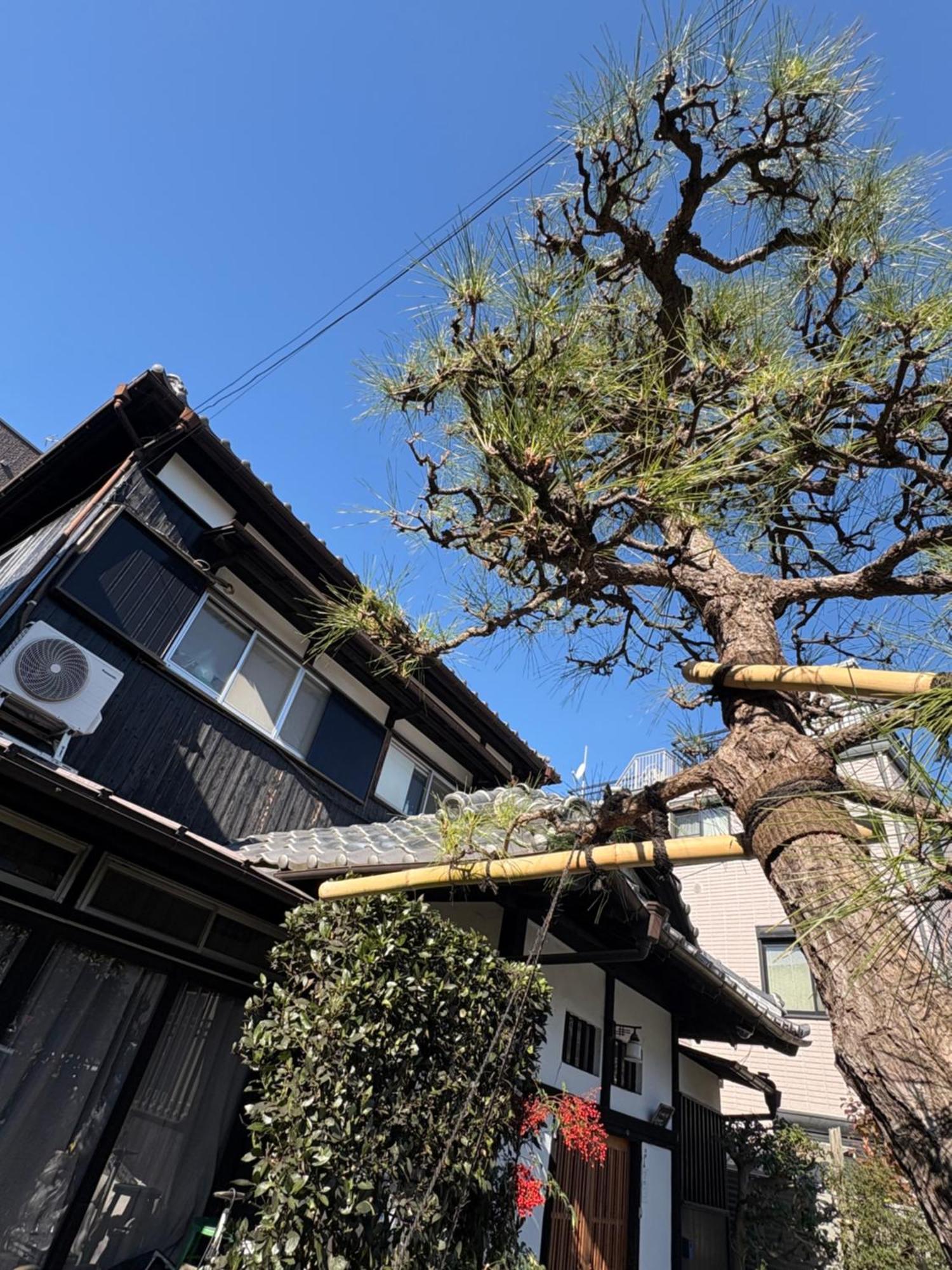 Kitazawa Cozy House Hotel Tokyo Bagian luar foto